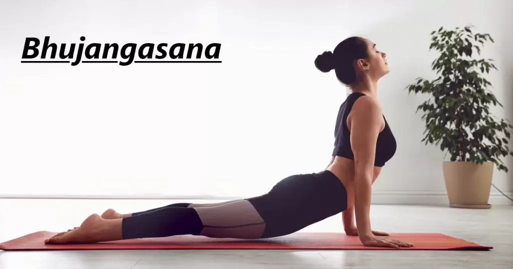 Bhujangasana