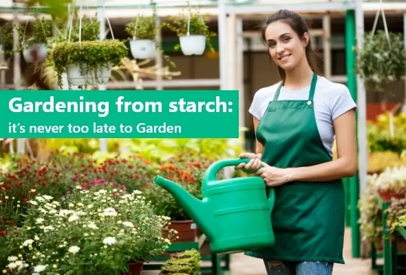 Gardenig from starch