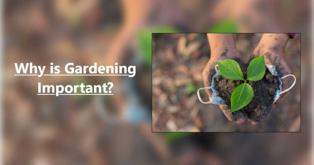 Importance of Gardening.