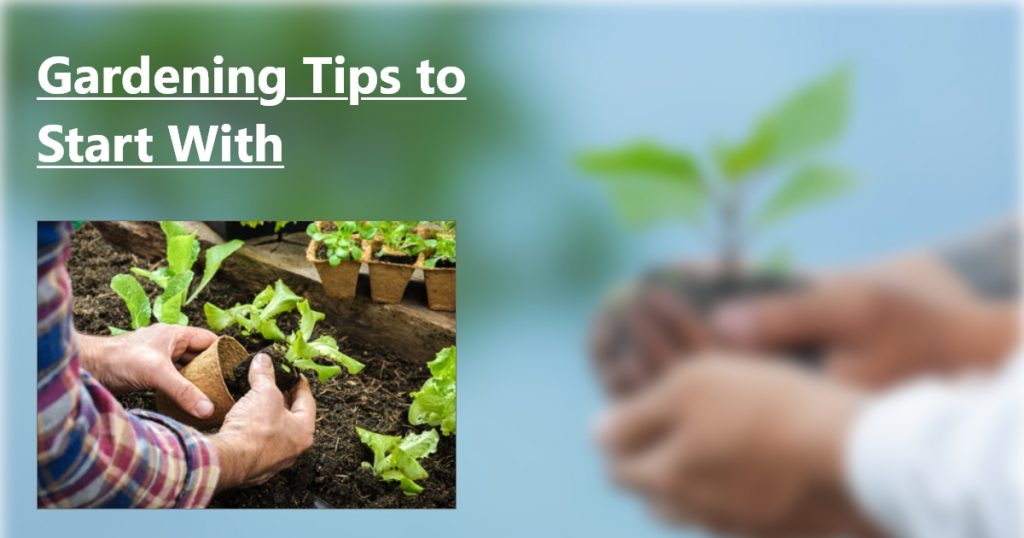 Gardening tips to start to plant in a better way.