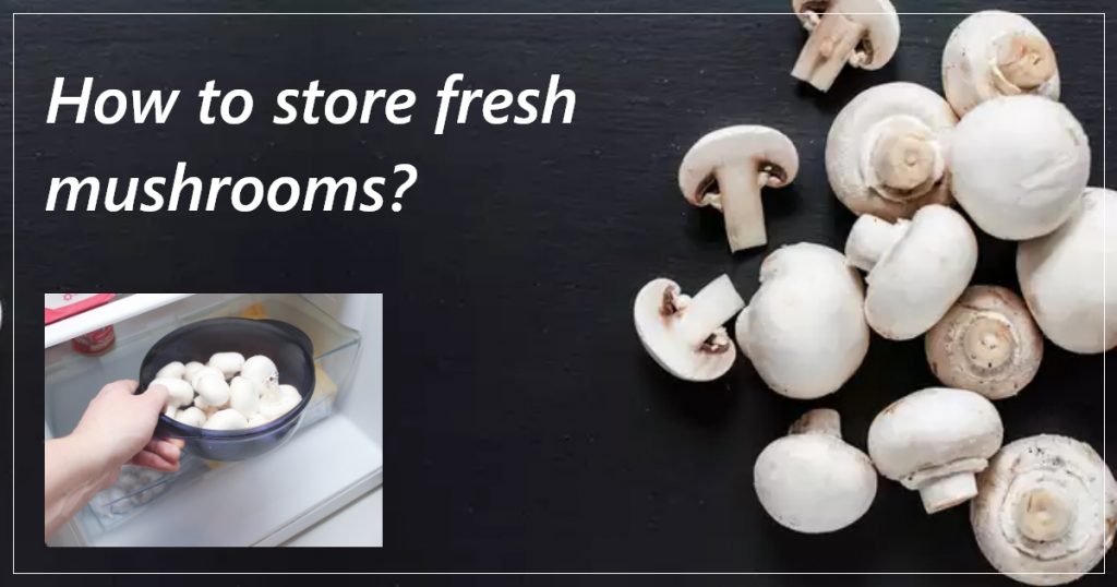 How to store fresh mushrooms?
