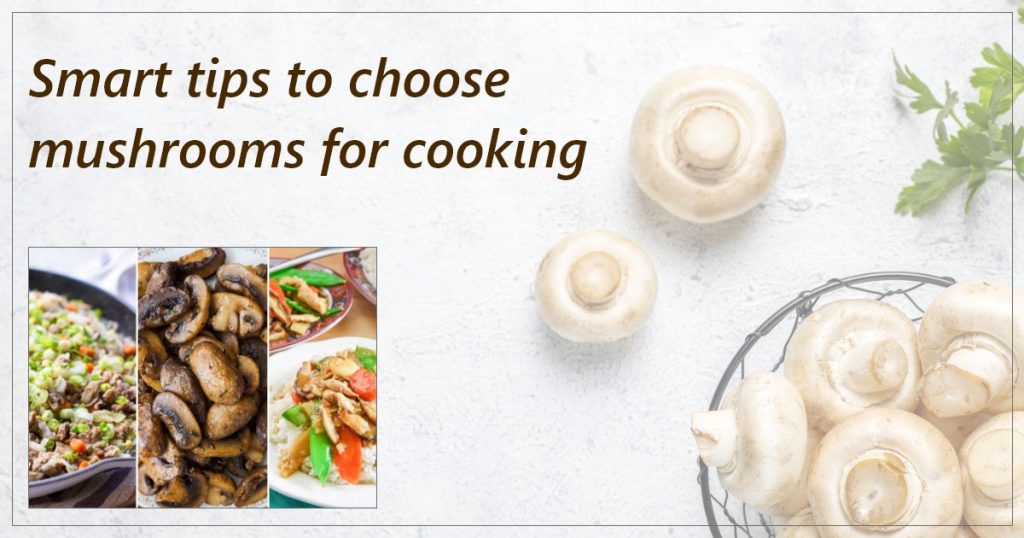 Smart tips to choose mushrooms for cooking 