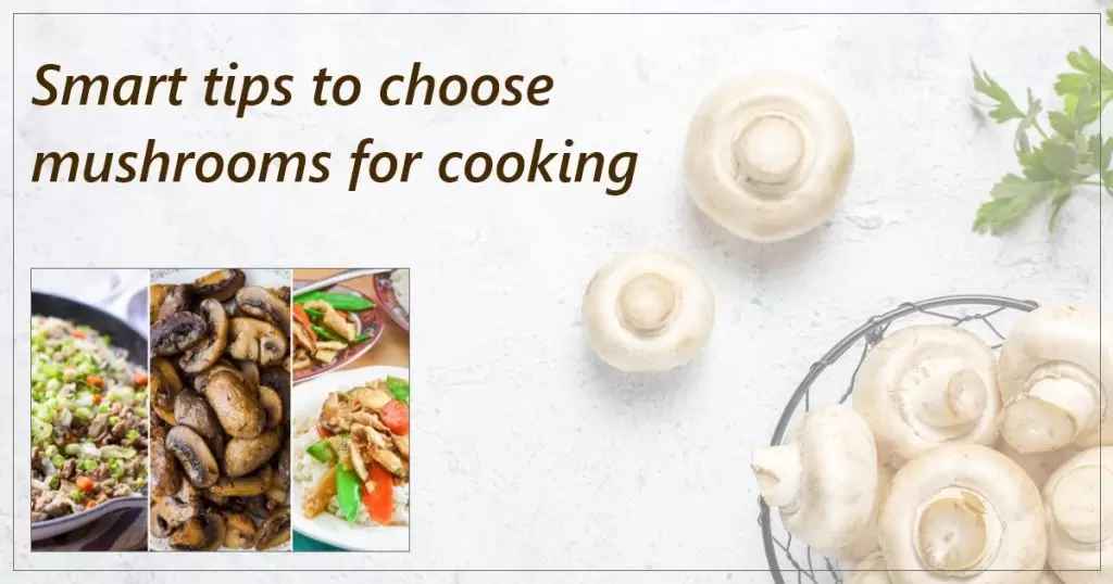 Smart tips to choose mushrooms for cooking