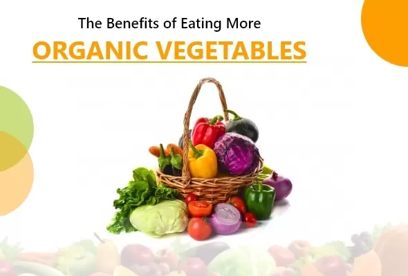 The Benefits of Eating More Organic Vegetables Website