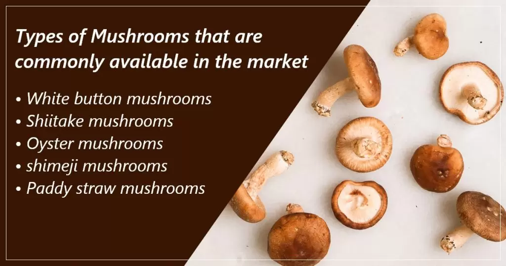 Types of Mushrooms