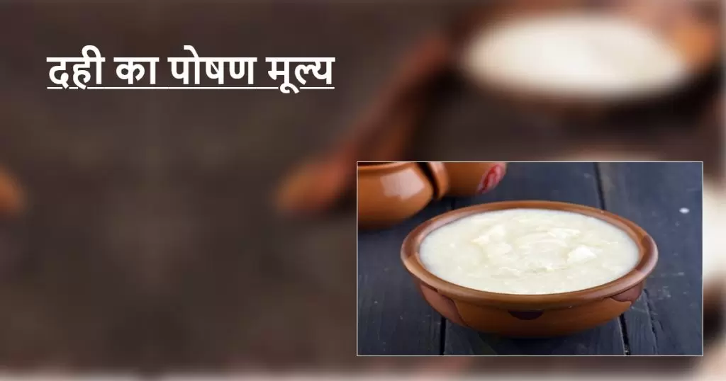 सेहत के लिए दही के फायदे Benefits of curd for health