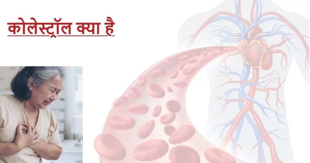 what is cholesterol?
