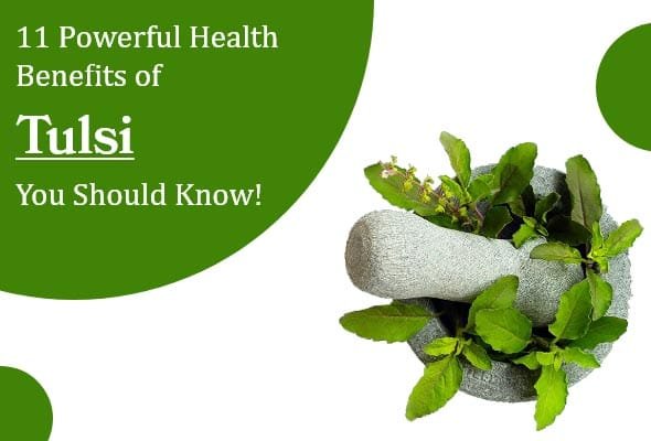 Health Benefits of Tulsi