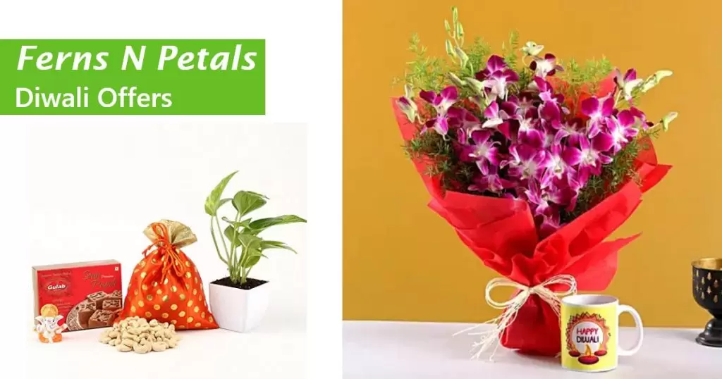 FernsNpetals offers
